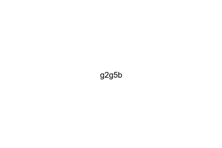 g2g5b
