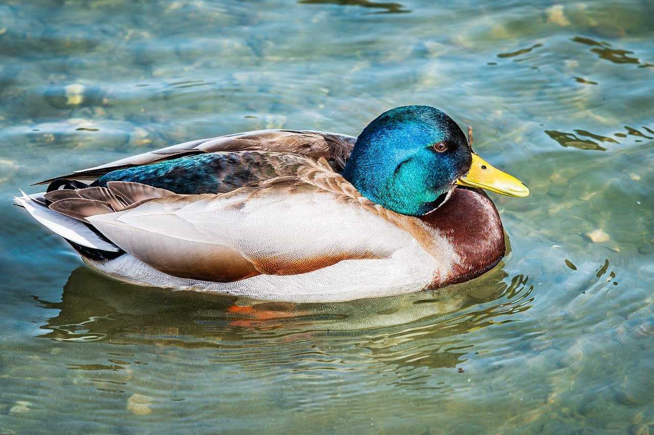 a person who makes fun of others is called