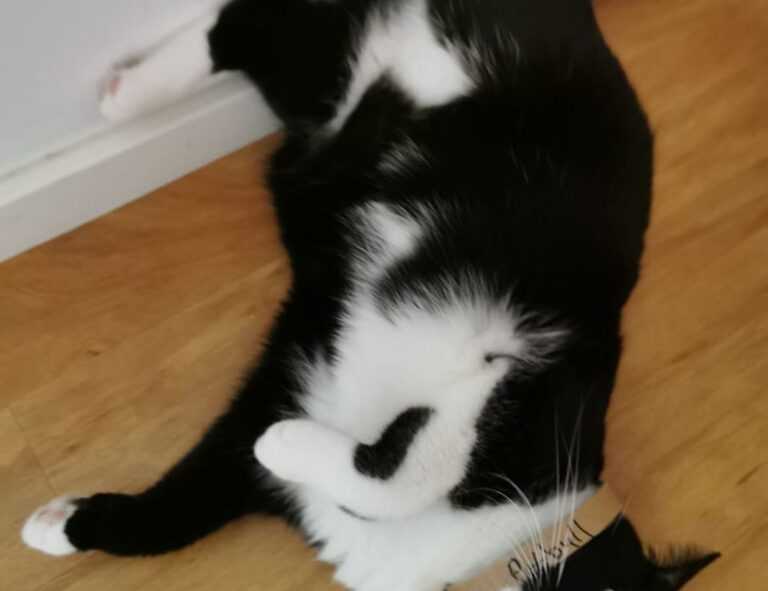 colour in food s-40533e1(exw)