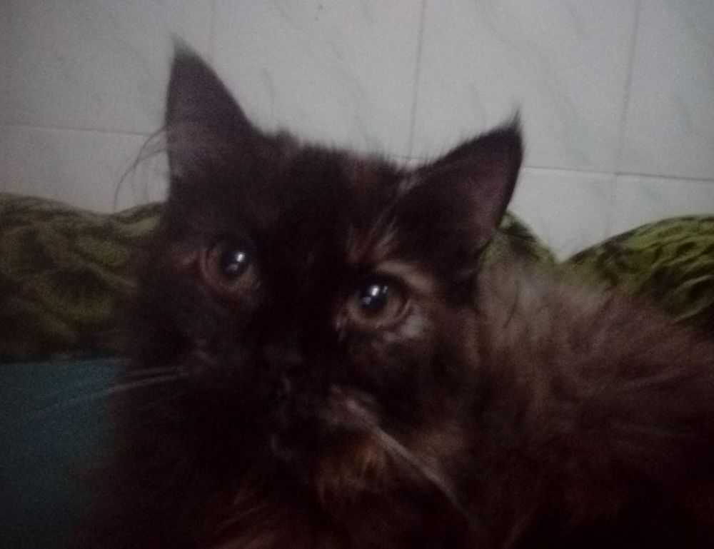 how to change server in innerlifthunt game