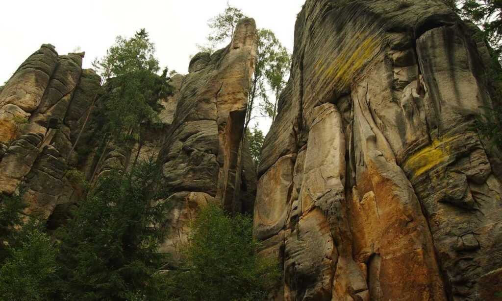 is game greensurvive2004 better on pc