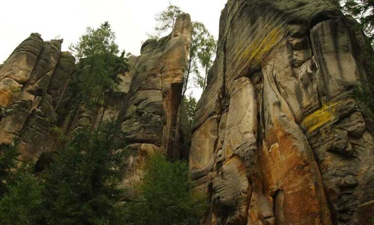 is game greensurvive2004 better on pc