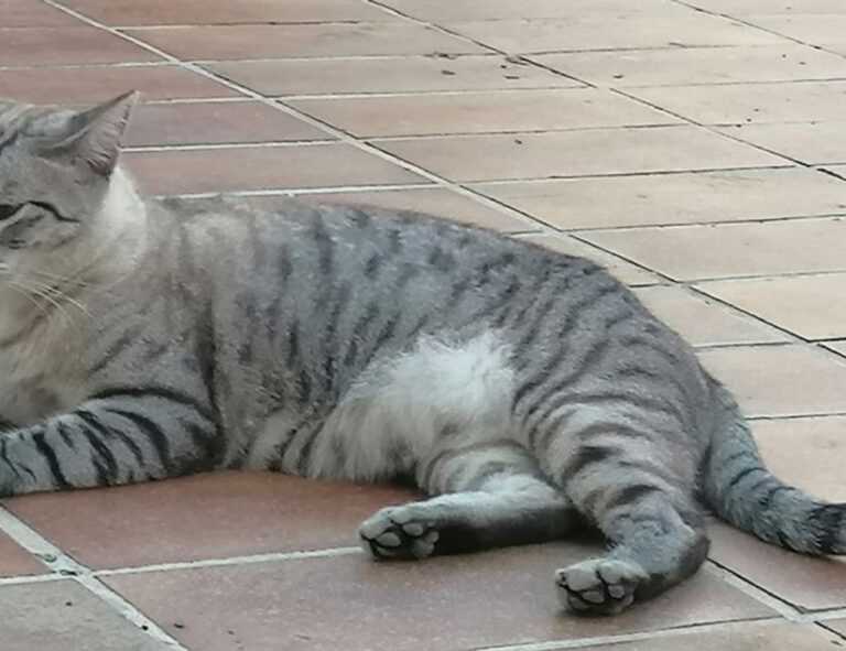 problem on computer 8379xnbs8e02328ws