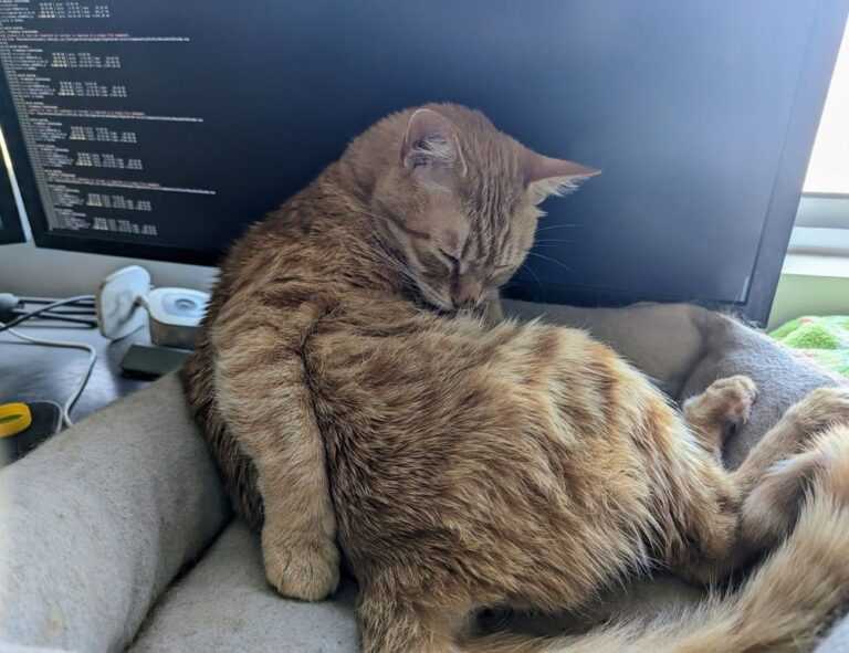 zg 91-565458 in food