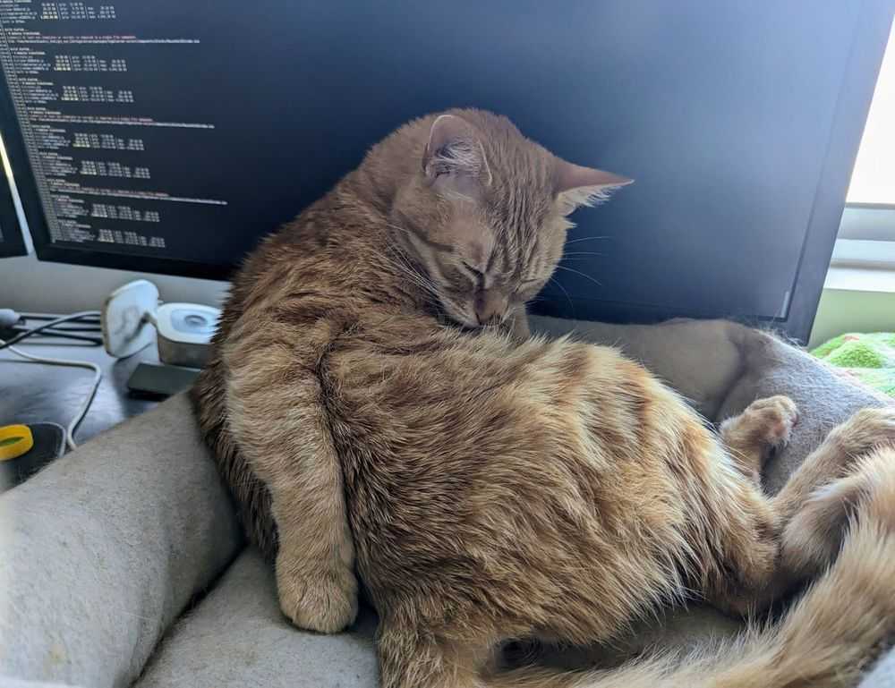 zg 91-565458 in food