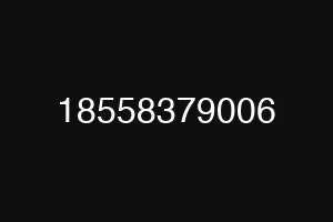 18558379006