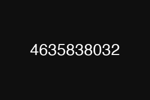 4635838032