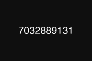7032889131
