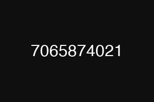 7065874021