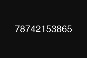 78742153865