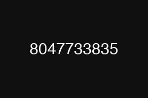 8047733835