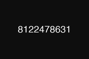 8122478631