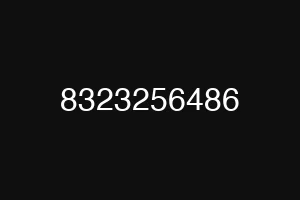 8323256486