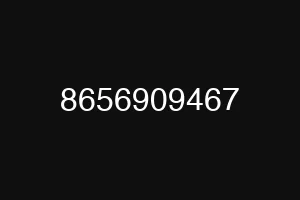 8656909467