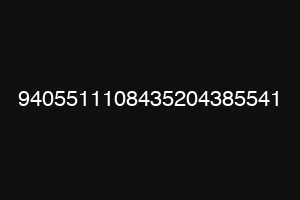 9405511108435204385541