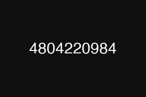 4804220984