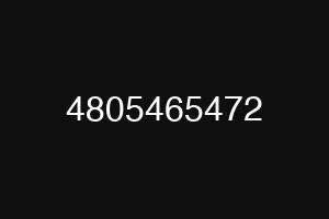 4805465472