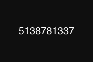 5138781337