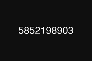 5852198903