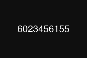 6023456155