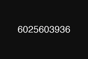 6025603936