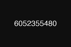 6052355480