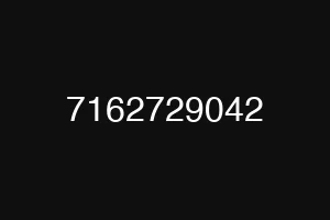 7162729042