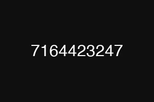 7164423247