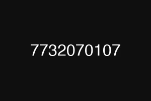 7732070107