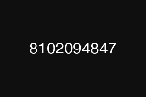 8102094847