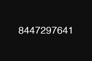 8447297641