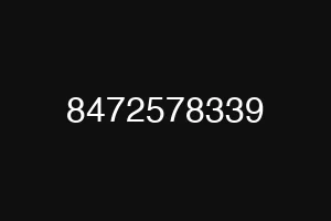 8472578339