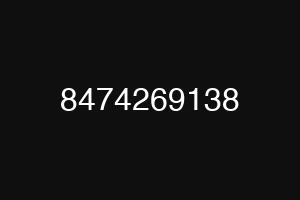 8474269138